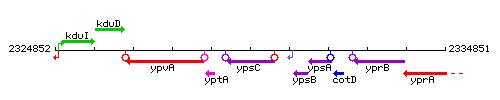 YpsC context.gif