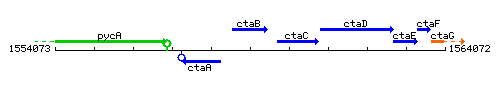 CtaB context.gif