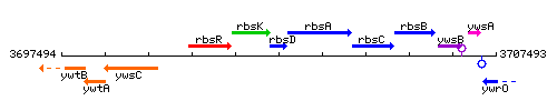 RbsD context.gif