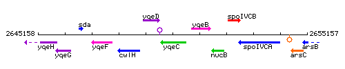 YqeC context.gif