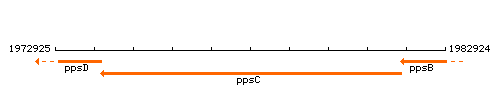 PpsC context.gif