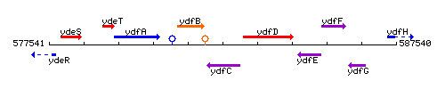 YdfC context.gif