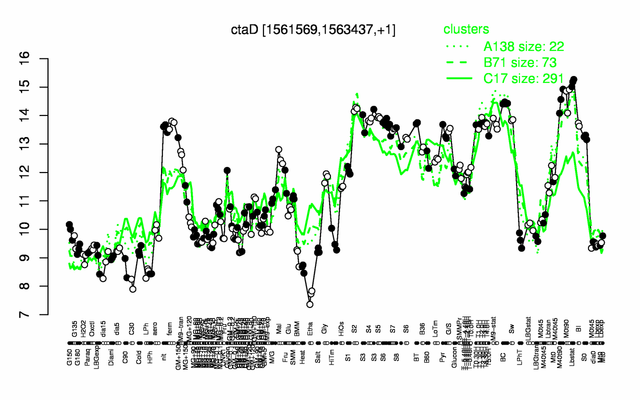 CtaD expression.png