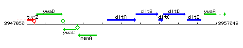 DltA context.gif