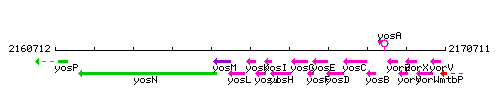 YosK context.gif