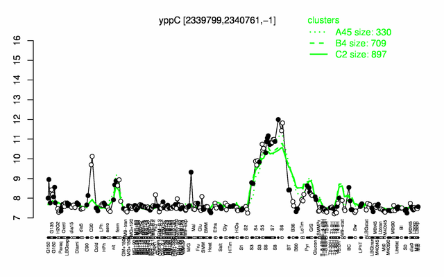 YppC expression.png