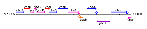 YhcI context.gif