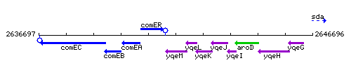 YqeM context.gif