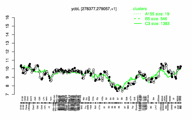 YcbL expression.png