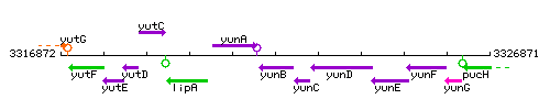 YunB context.gif