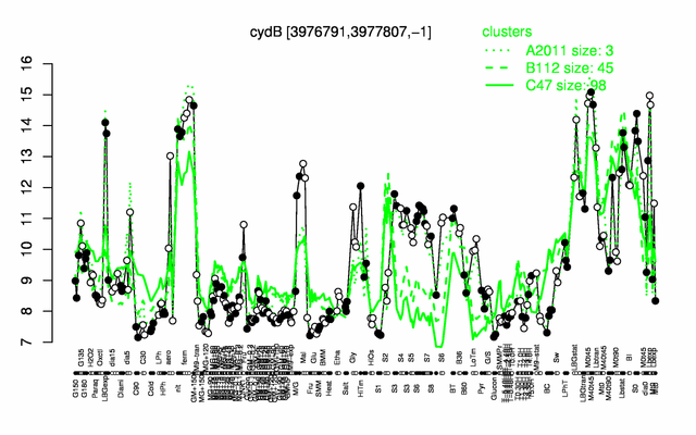 CydB expression.png