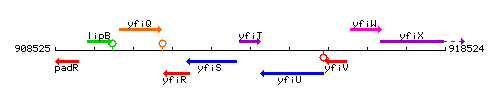 YfiT context.gif