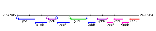 GudB context.gif