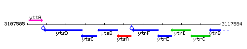 YtsA context.gif