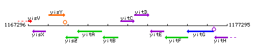 YitC context.gif