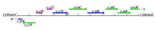 UxaC context.gif