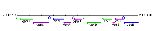 YpgA context.gif