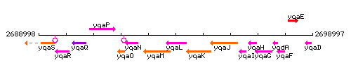 YqaL context.gif