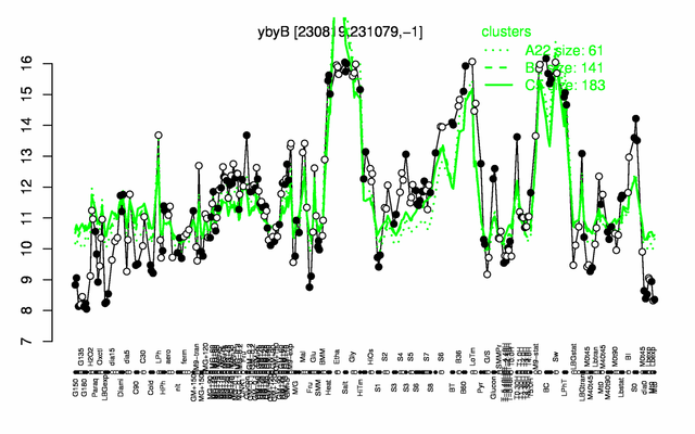 YbyB expression.png